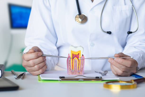 Best Urgent Care for Lost Fillings or Crowns in Pottstown, PA